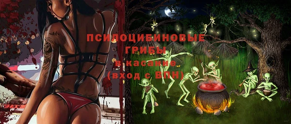 СК Алексеевка