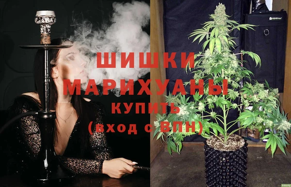 бошки Алексин