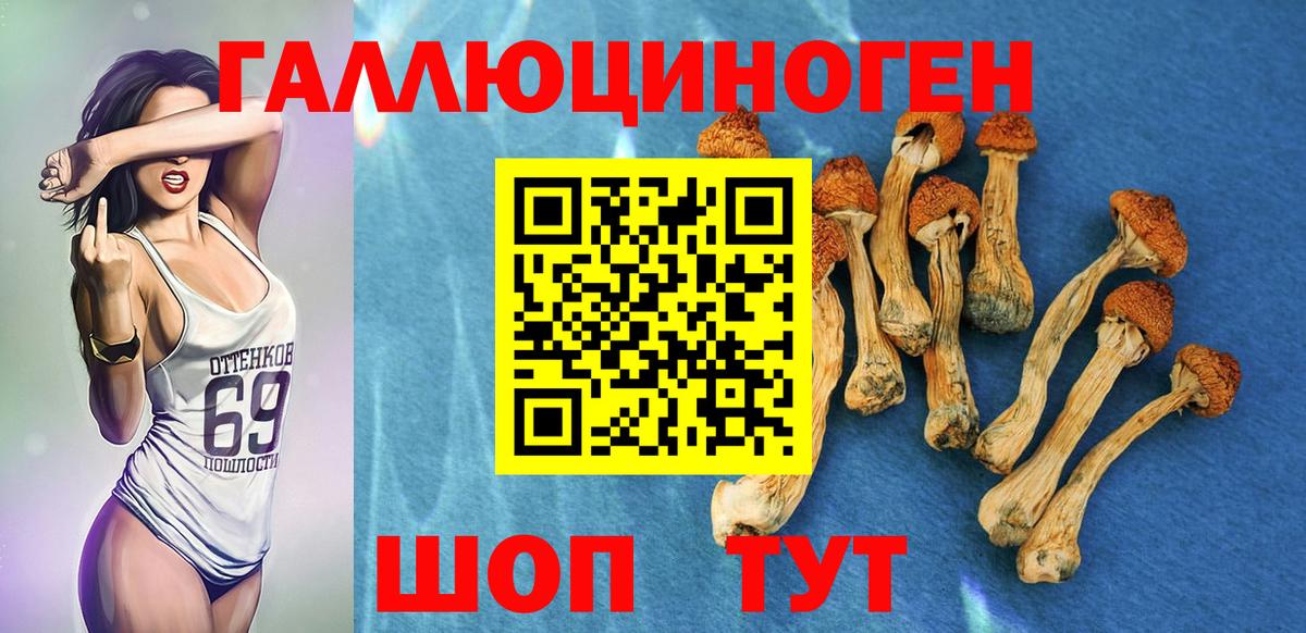 Галлюциногенные грибы GOLDEN TEACHER  Галлюциногенные грибы GOLDEN TEACHER  Вход с VPN  Северодвинск 